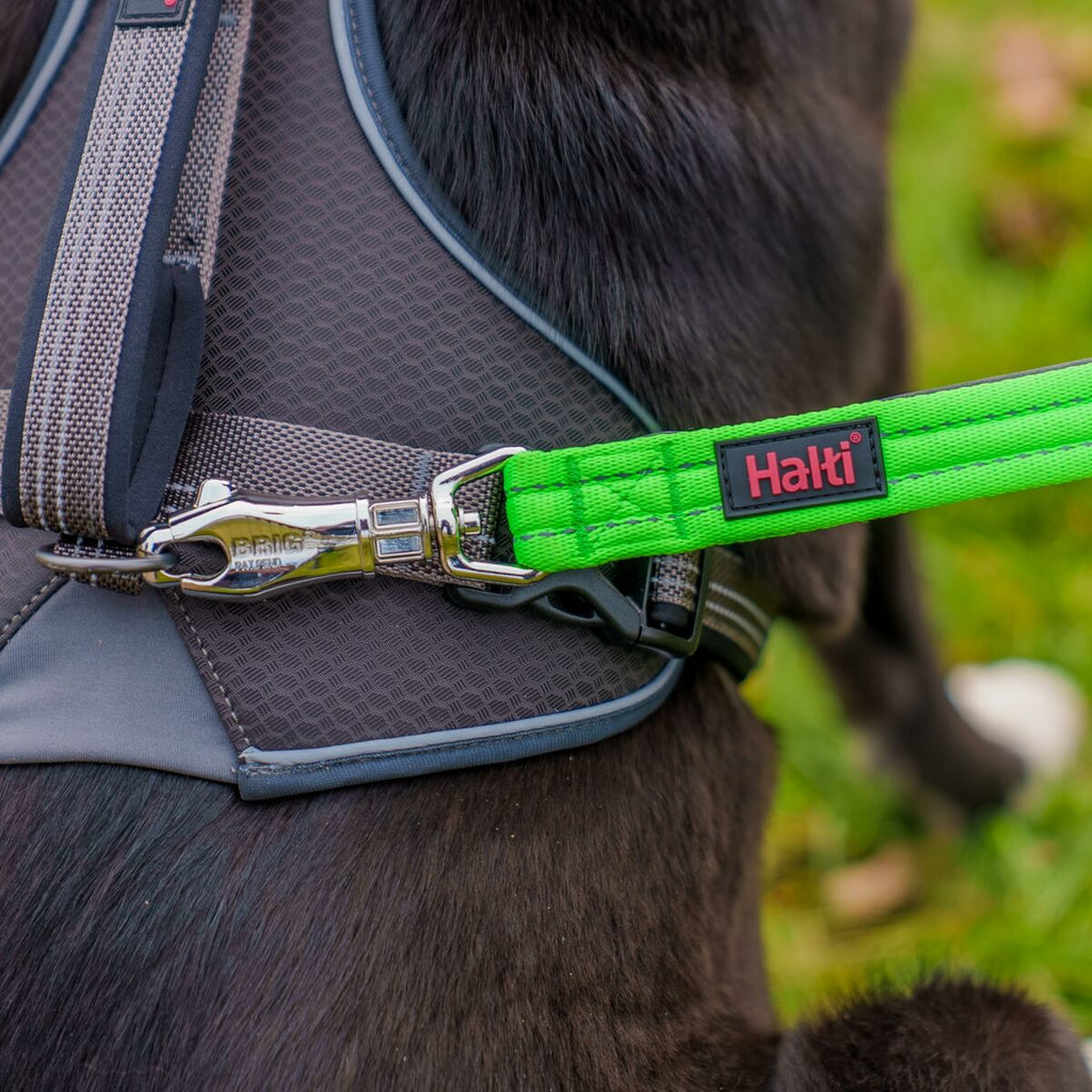 Hundegeschirr «Company of Animals» (Grösse L)