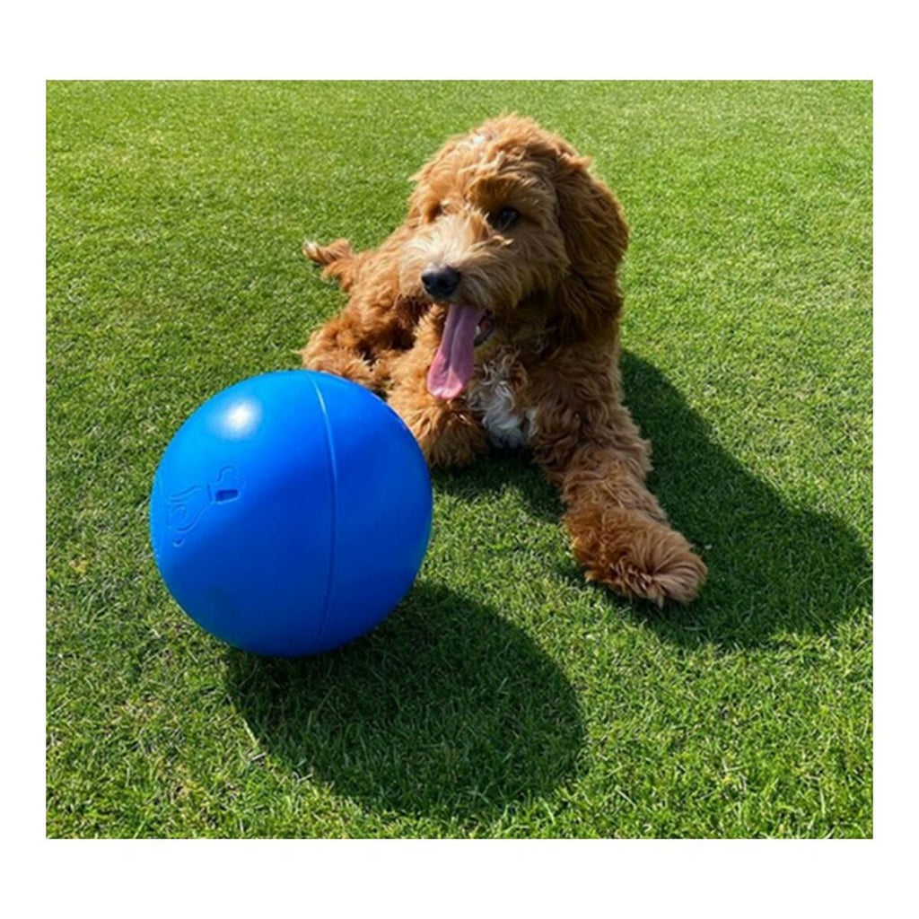 Hundespielzeug Company of Animals Boomer Blau 200mm – LuxeStyle Schweiz