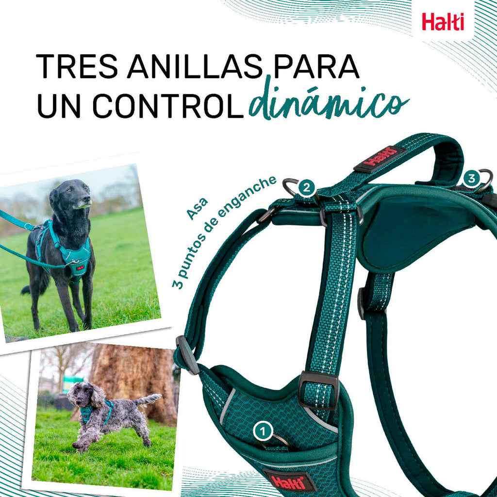 Hundegeschirr «Company of Animals» Türkis (L)