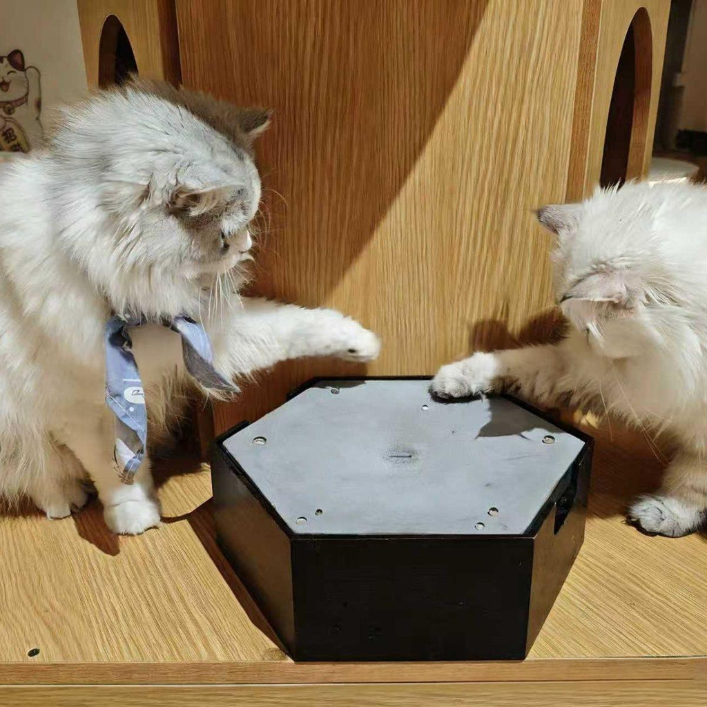 Katzenspielzeug