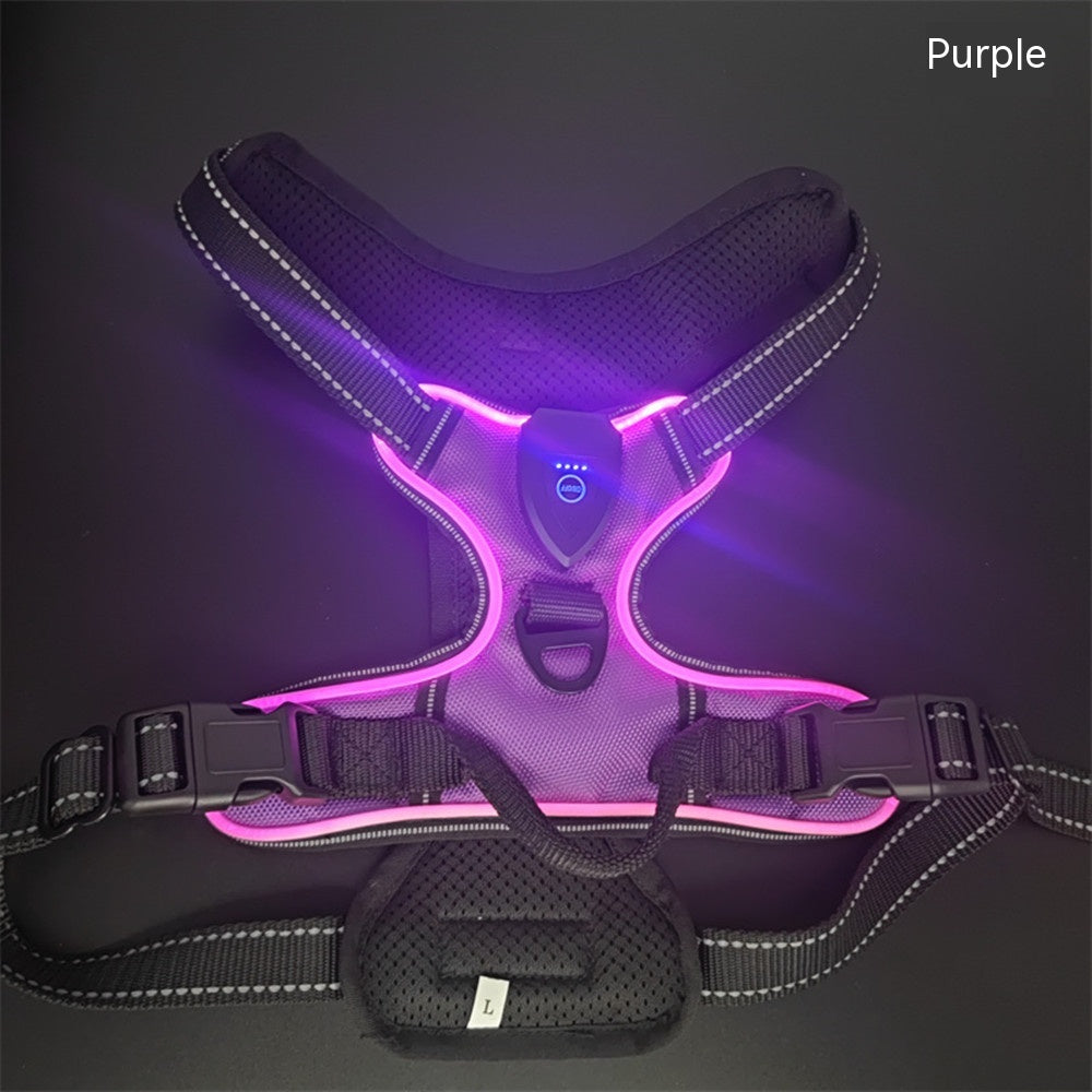 LED-Leuchtweste für Hunde und Katzen – Bild 12 | LuxeStyle