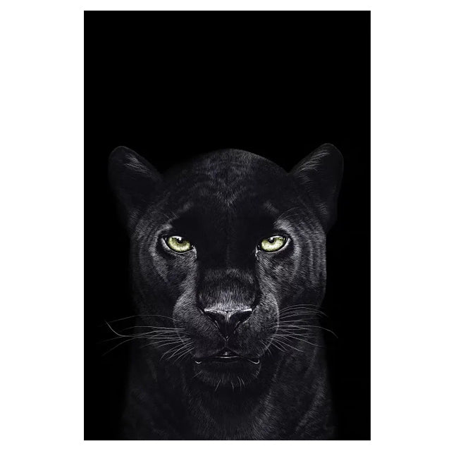 Afrikanischer Wildtiger Leinwandbild – Bild 7 | LuxeStyle