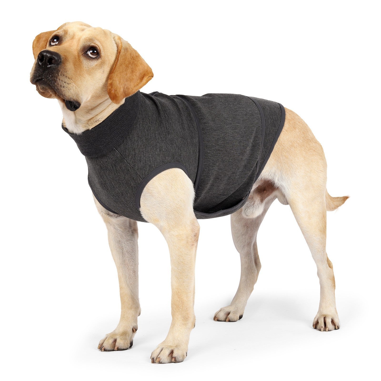 Hundejacke aus Polyester für emotionalen Komfort