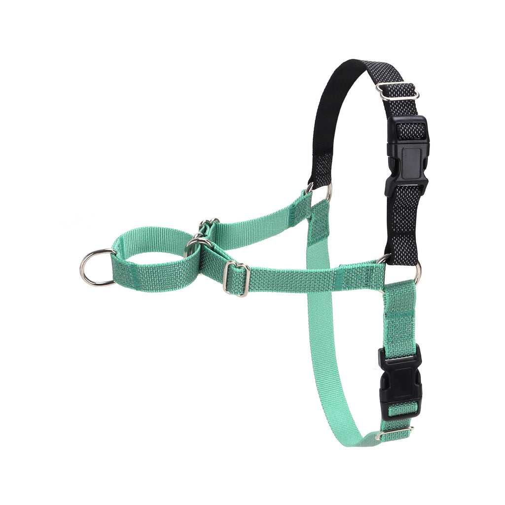 Reflektierendes Hunde-Trainingsgeschirr – Bild 6 | LuxeStyle