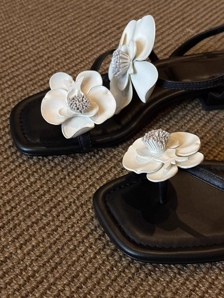 Frauen-Sandalen