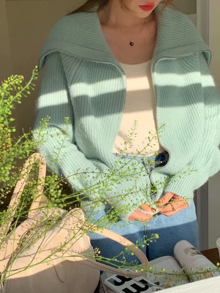 Cardigan mit Reissverschluss und Reverskragen