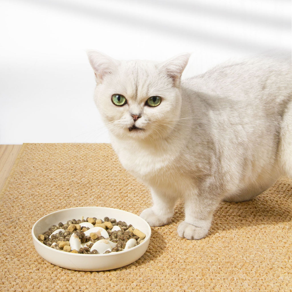 Langsam-Futter-Schüssel für Hund & Katze