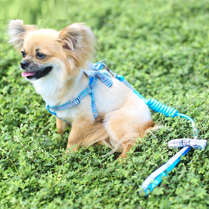 Hundeleine für kleine und mittelgrosse Hunde – Bild 3 | LuxeStyle