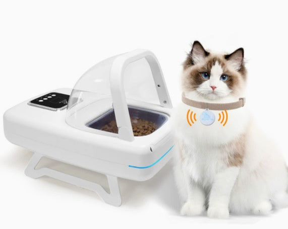 Automatischer Futterspender für Katzen