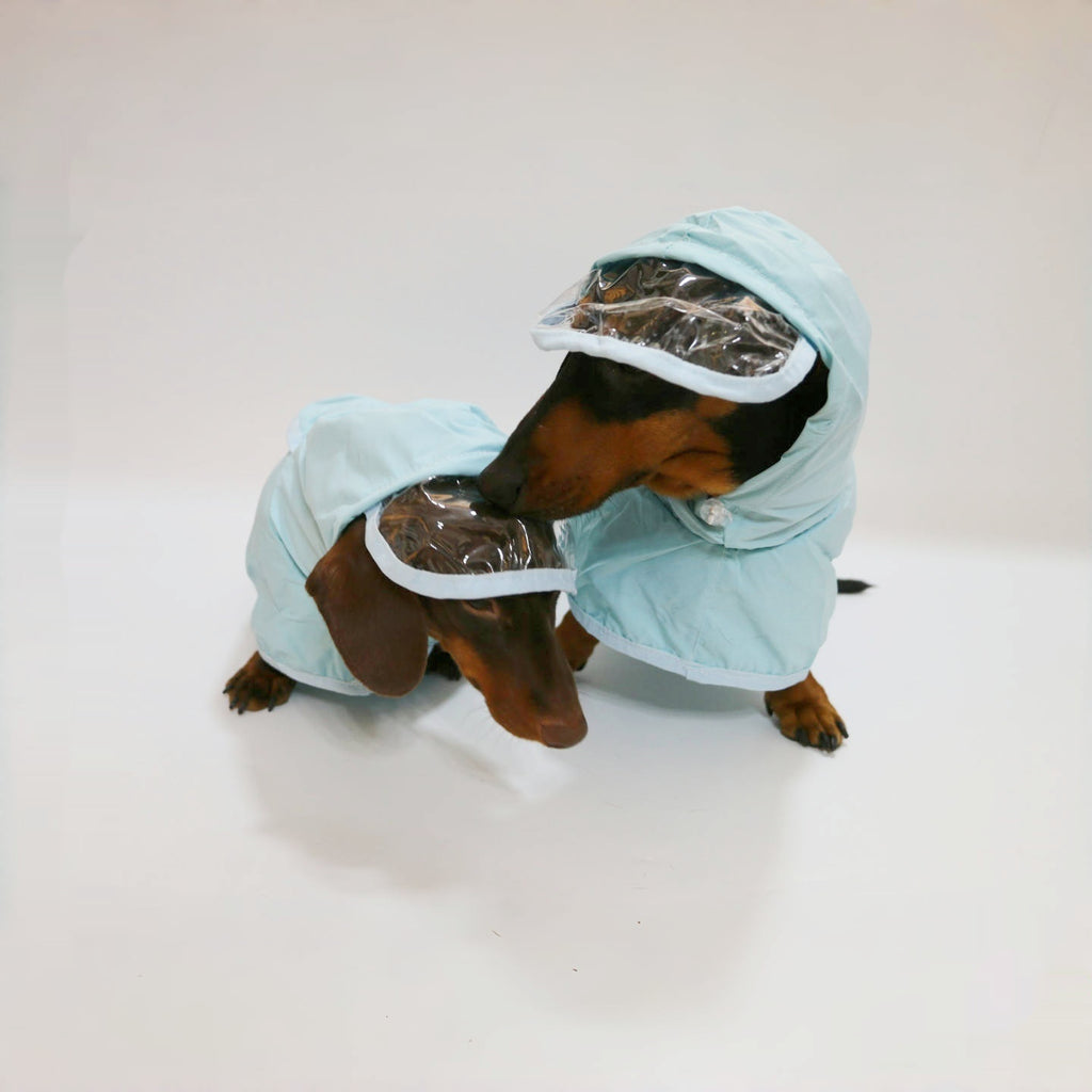 Wasserdichter Regenponcho mit Kapuze für Hunde