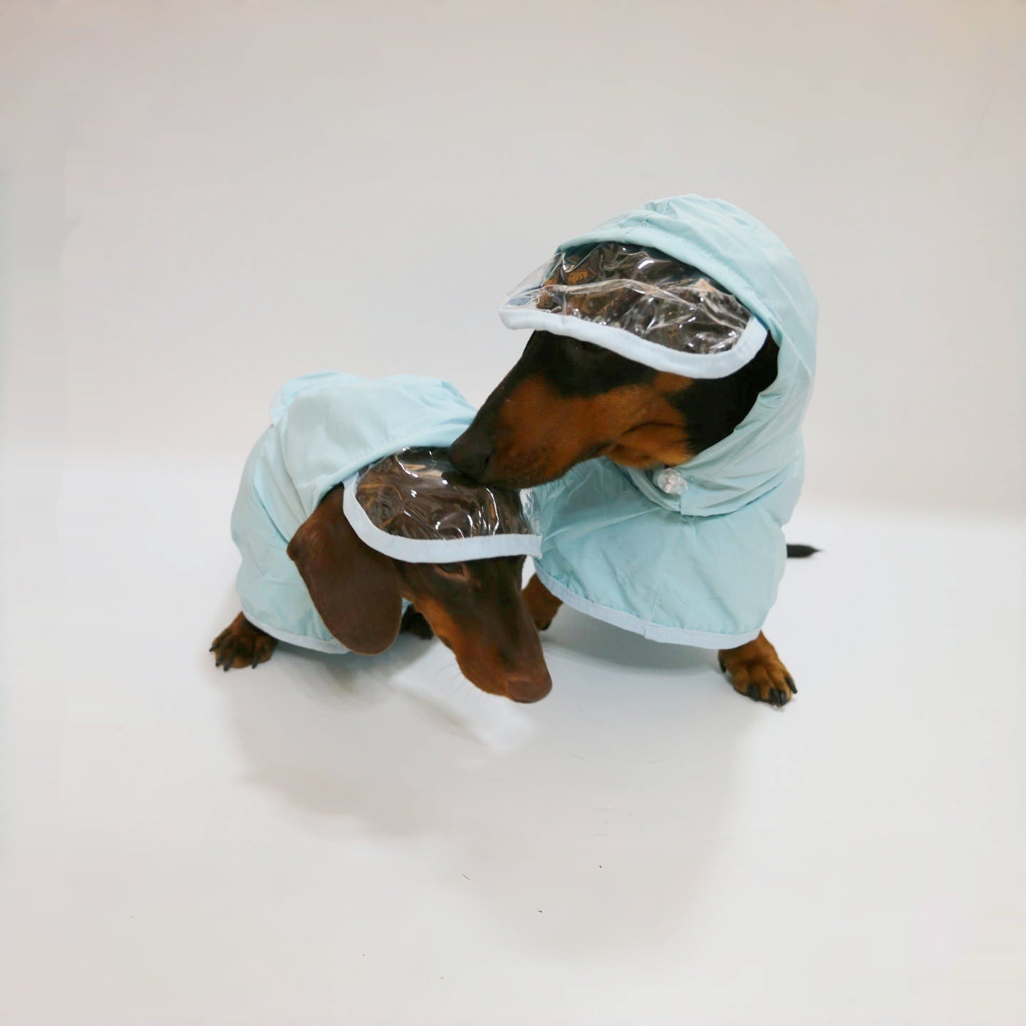 Wasserdichter Regenponcho mit Kapuze für Hunde