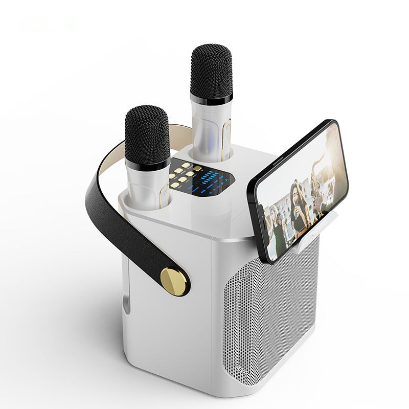 Duales Stereo Karaoke-System