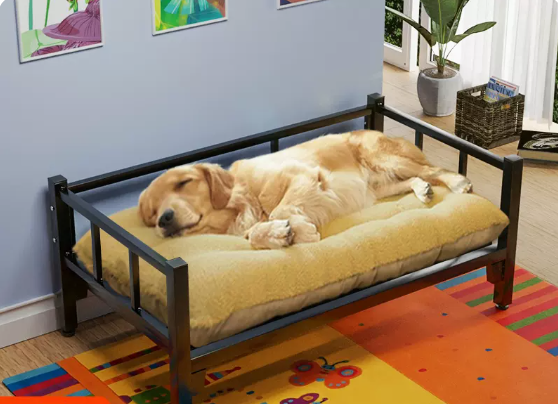 Hundebett für alle Jahreszeiten