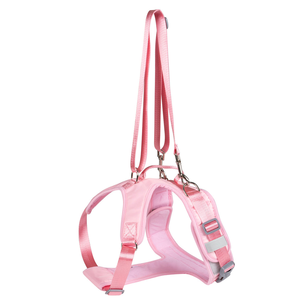 Brustgurt für gehandicapte Hunde – Bild 4 | LuxeStyle