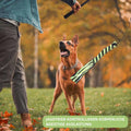 Teleskop-Spielstab für Hunde