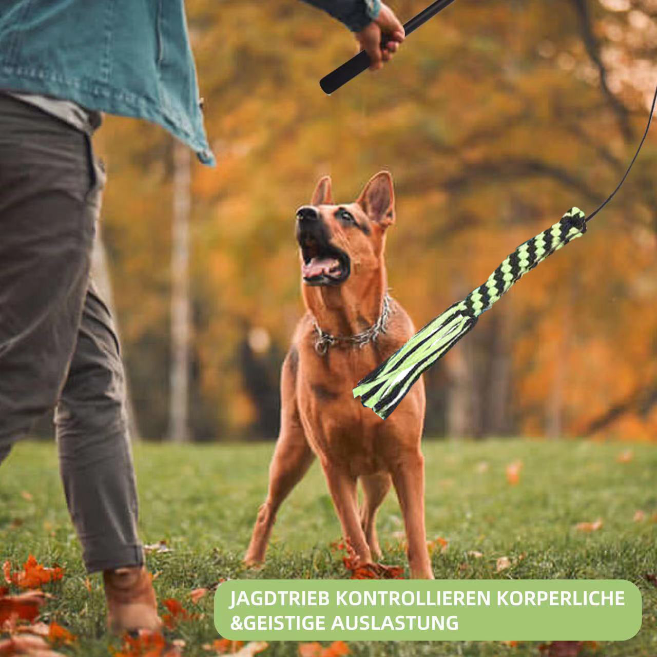 Teleskop-Spielstab für Hunde
