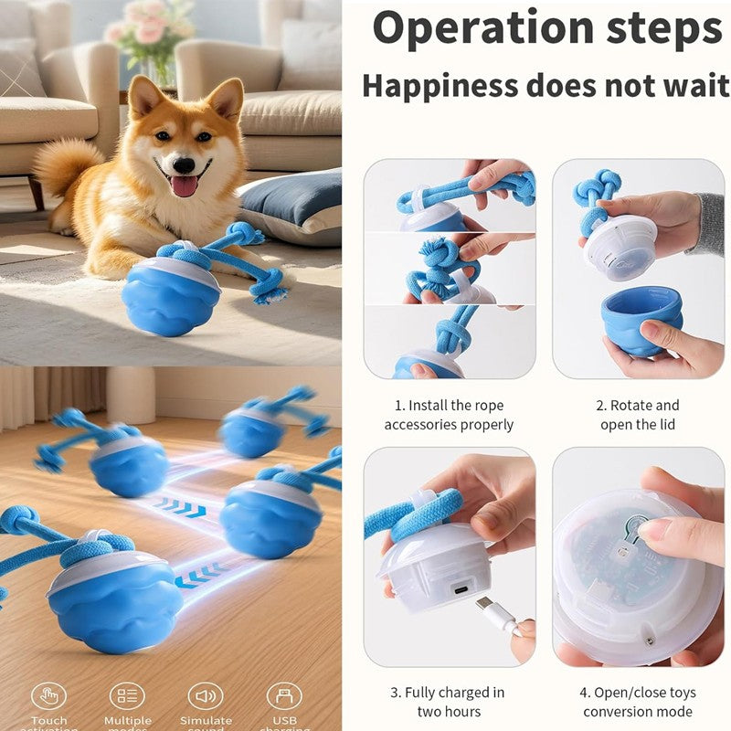 Interaktiver Ball mit Seilen für Hunde