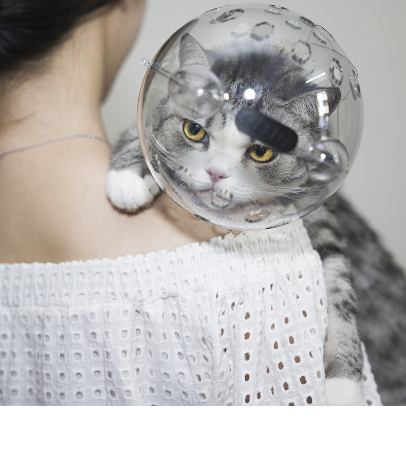 Anti-Kratz- und Leckschutz für Katzen – Bild 1 | LuxeStyle