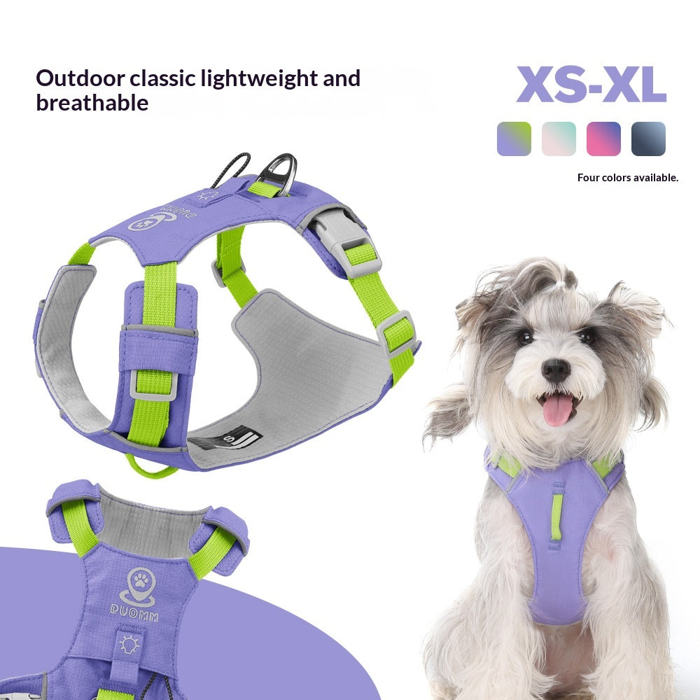 Wasserdichter Hundegurt