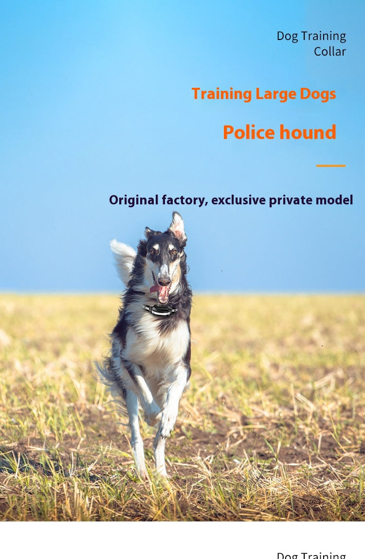 Ferngesteuertes Hunde-Trainingshalsband – Bild 10 | LuxeStyle