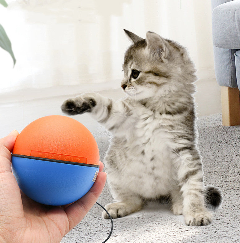 Automatischer Tease Katzen-Spielball