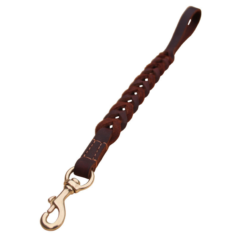 Geflochtene Lederleine für Hunde – Bild 5 | LuxeStyle