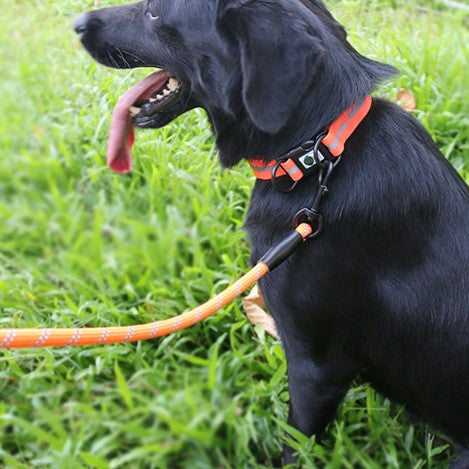 Reflektierendes, wasserdichtes Hundegeschirr – Bild 6 | LuxeStyle