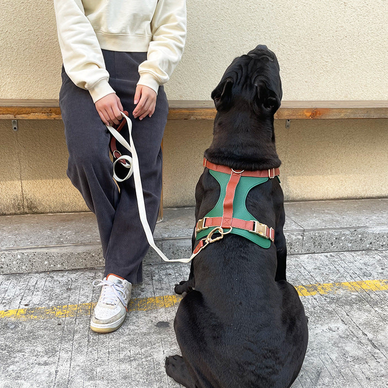Luxus-Leder-Hundeharnisch und Leine