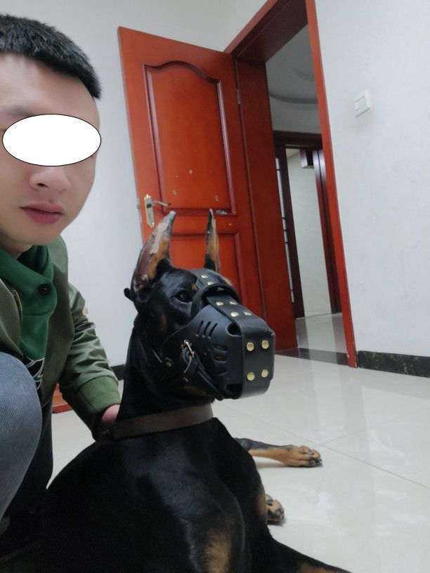 Maulkorb aus Rindsleder für Hunde