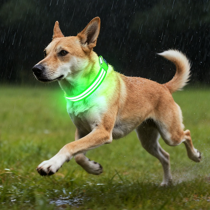 Leuchtendes Nylon-Hundehalsband für die Nacht – Bild 8 | LuxeStyle