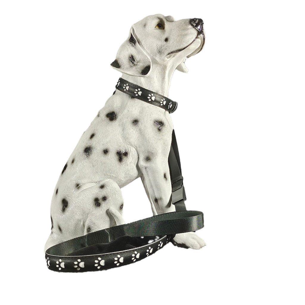 LED Leuchthalsband für Hunde, 7 Farben – Bild 4 | LuxeStyle
