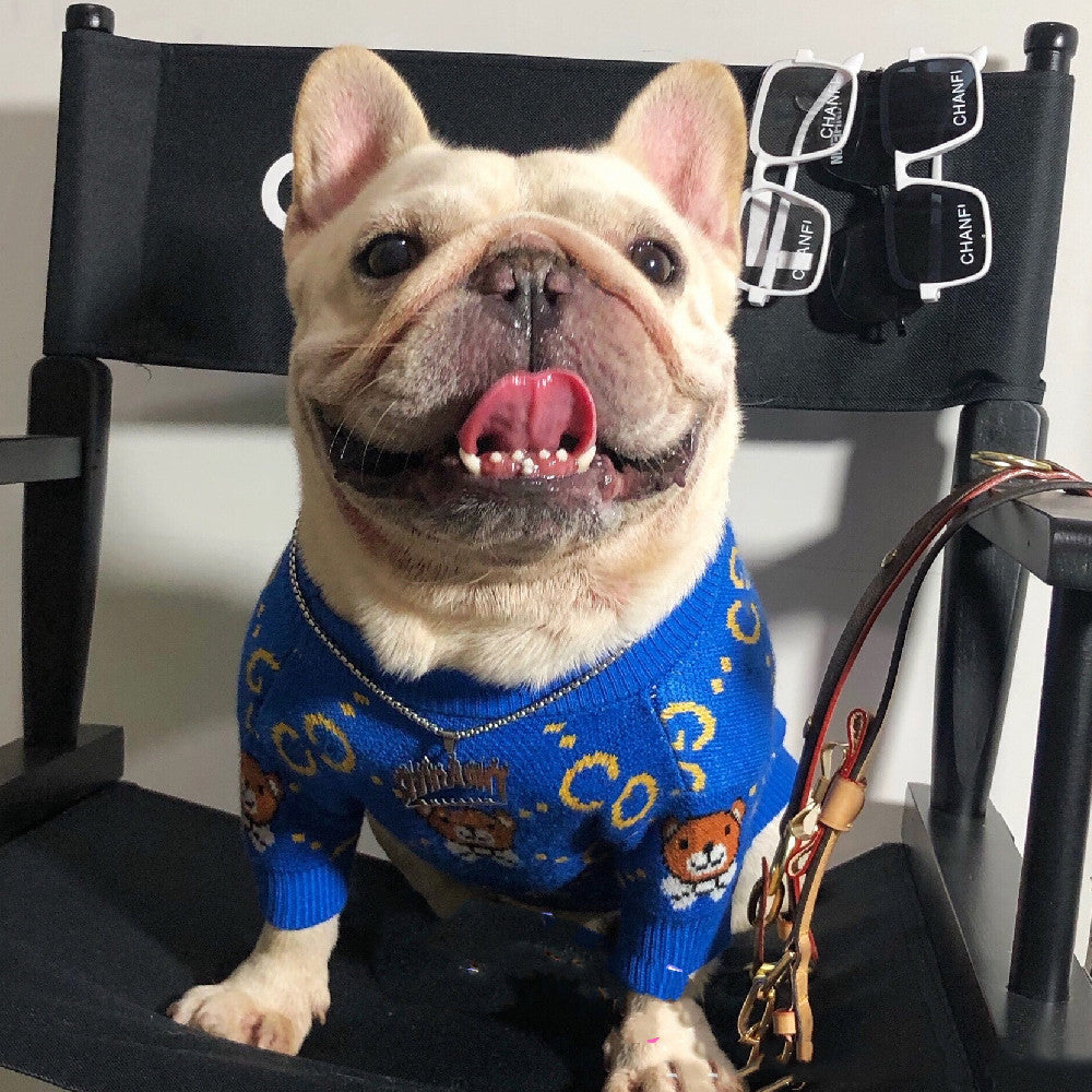 Wollpullover für Hunde – Blau mit Bär – Bild 4 | LuxeStyle