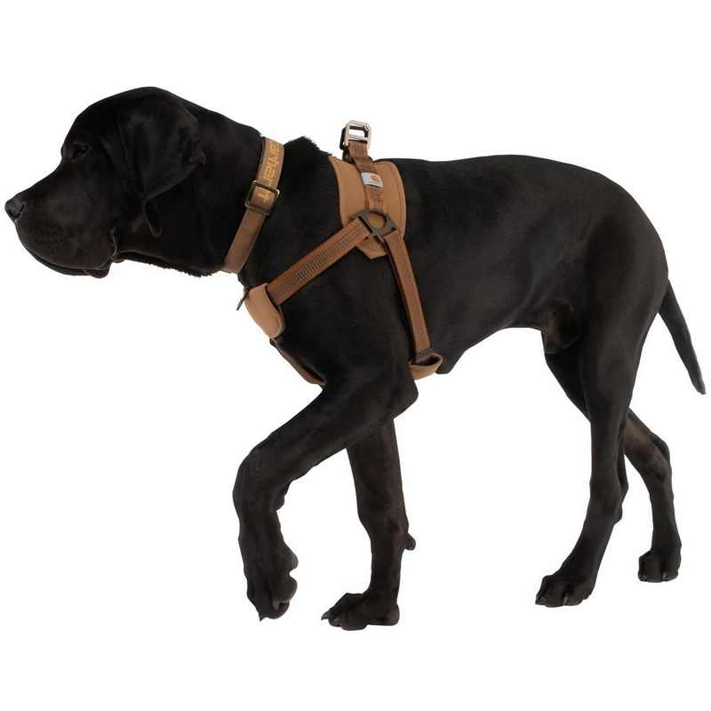 Hunde-Brustgeschirr mit Trainingsleine – Bild 4 | LuxeStyle