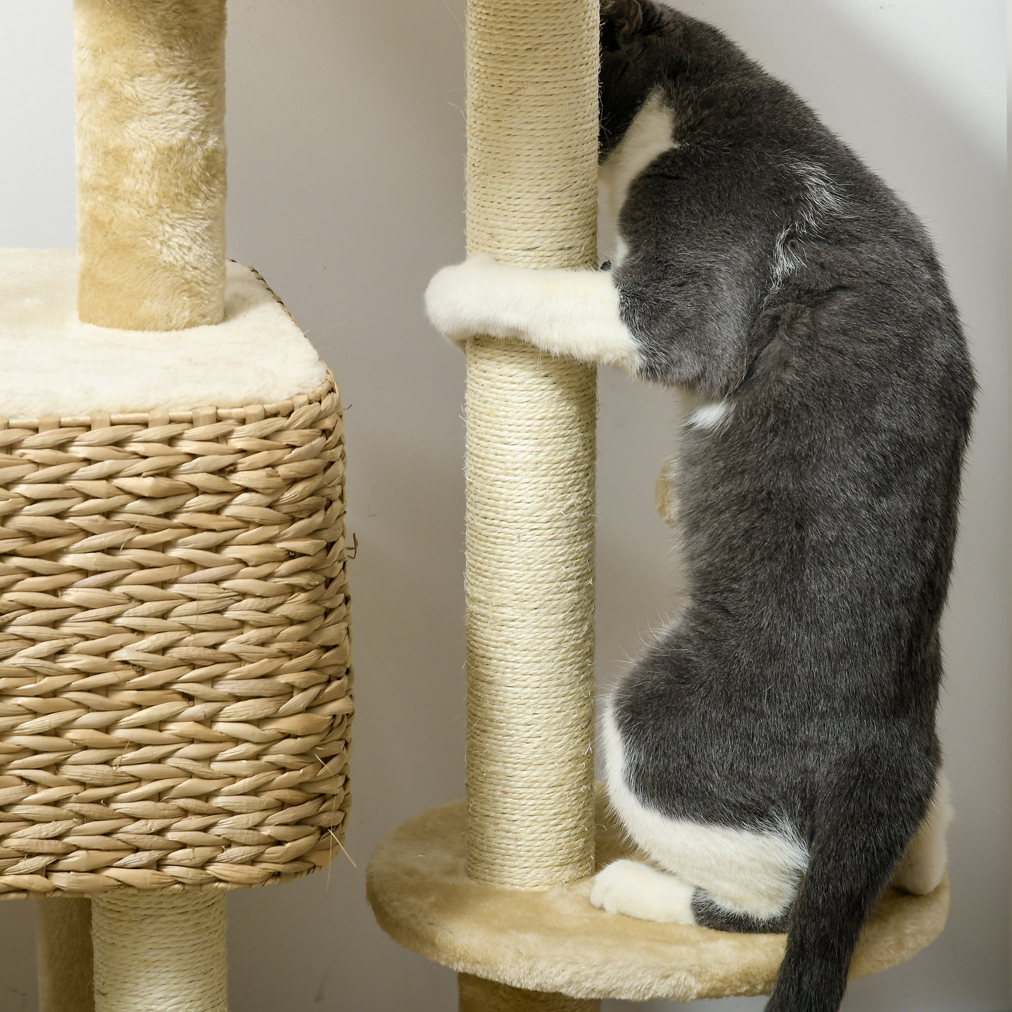 Katzenbaum mit Kratzbaum und Hängematte – Ref. CJ-2034277224929857538