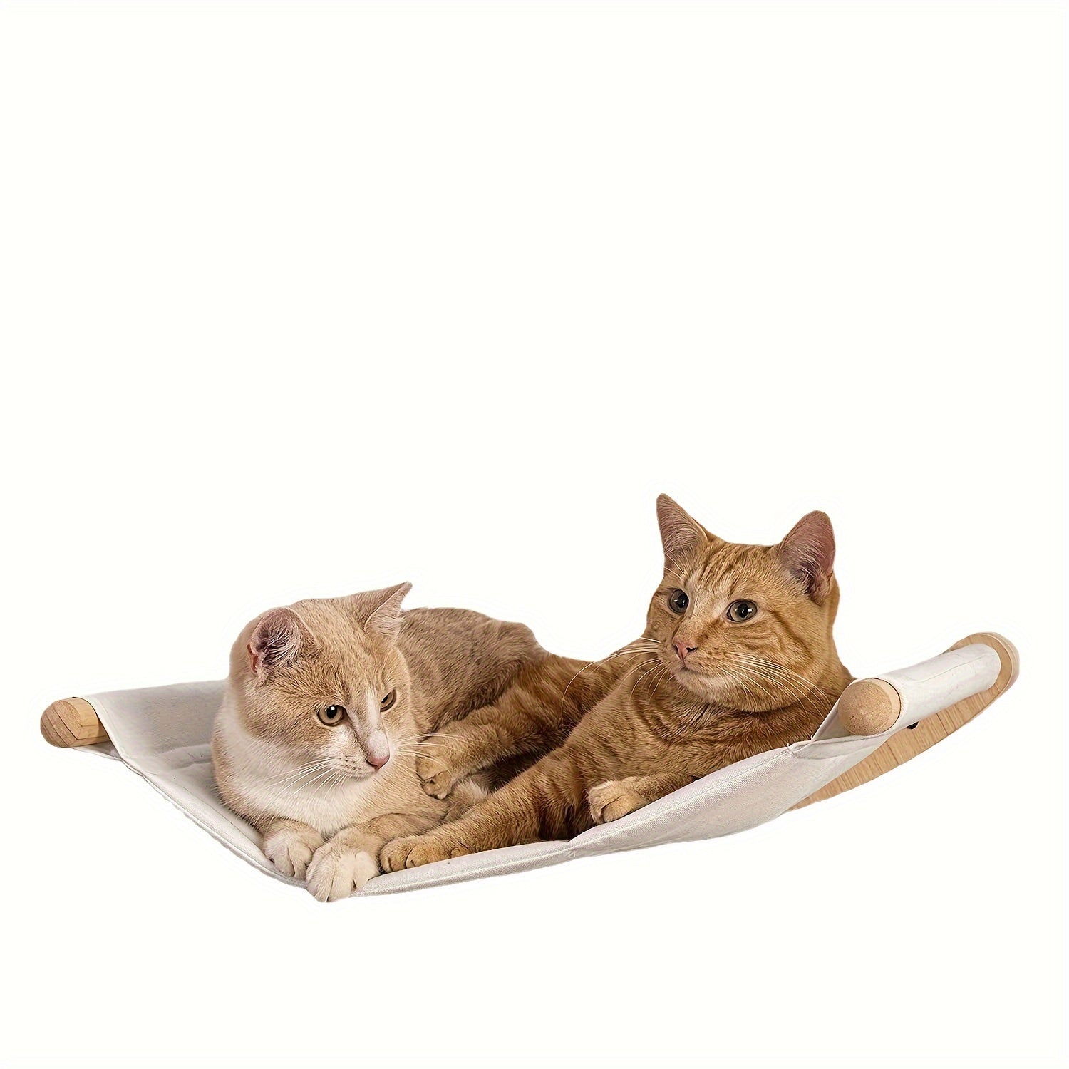 Wand-Katzenbaum – platzsparendes Kletterparadies