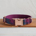 Leuchtendes Hundehalsband-Set 'Forest'