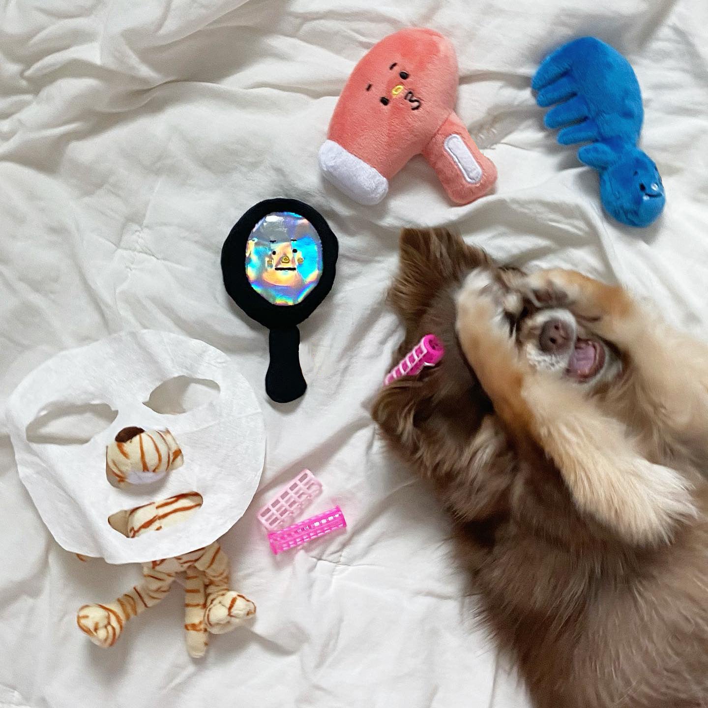 Hundespielzeug-Set