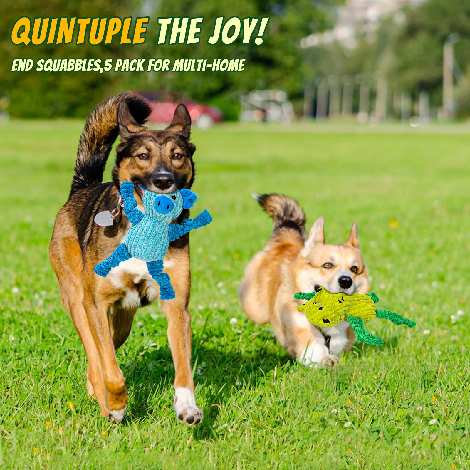 5er-Pack Quietsch-Plüschtiere für Hunde