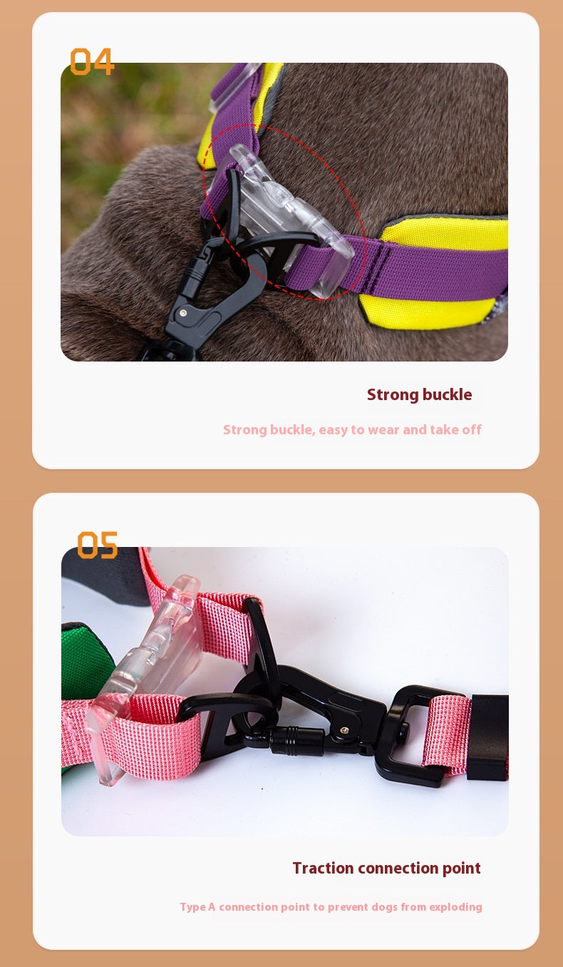 Verstellbares Katzenhalsband mit Halstuch – Bild 5 | LuxeStyle
