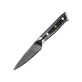 Damast Küchenmesser-Set mit G10 Griffen