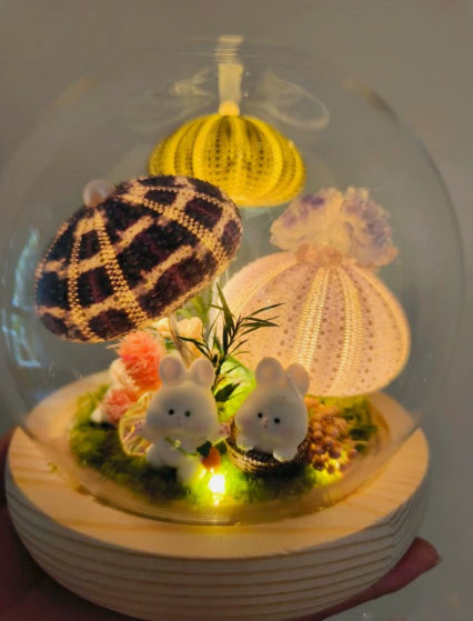 Nachtlicht Seeigel-Muschel – Bild 3 | LuxeStyle