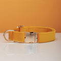 Halsband und Leine für Hunde – Bild 2 | LuxeStyle