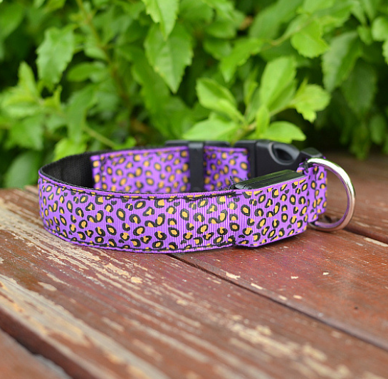 LED-Halsband für Hunde – Leopard-Muster
