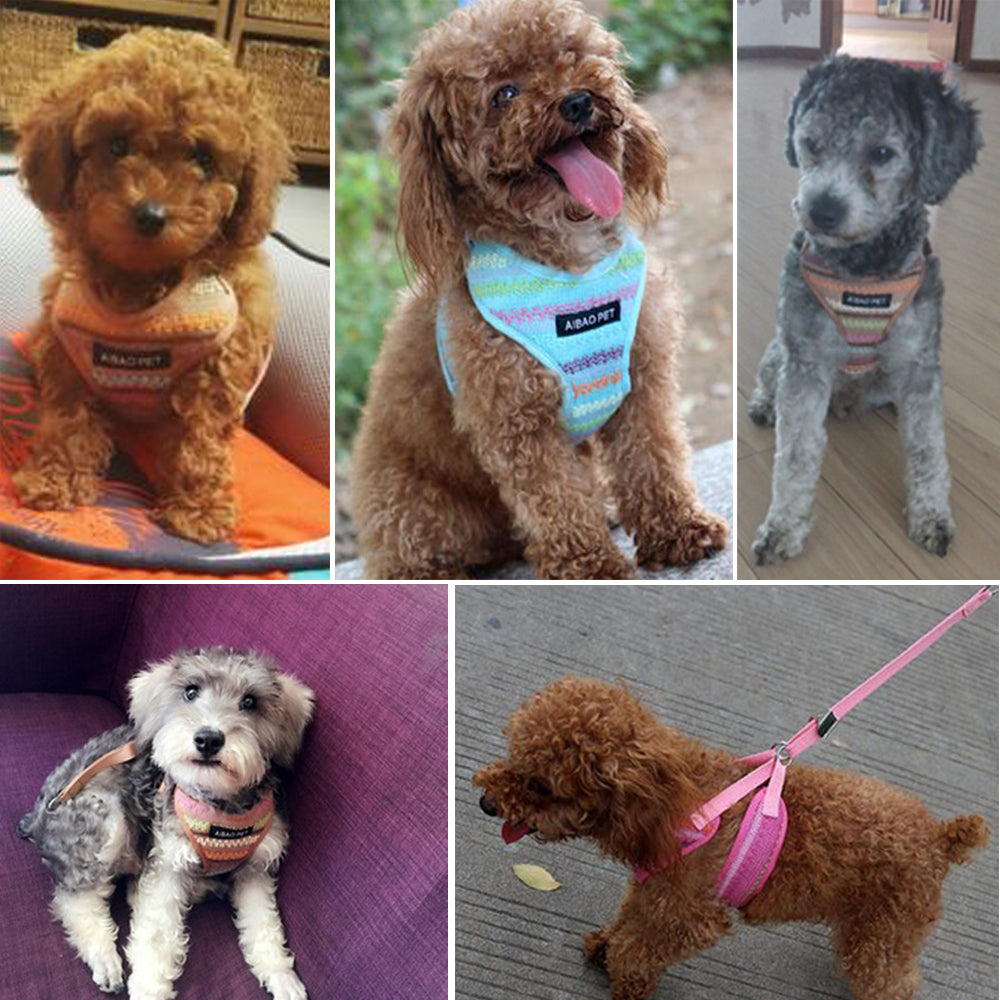 Fleece-Corset für kleine und mittelgrosse Hunde – Bild 5 | LuxeStyle