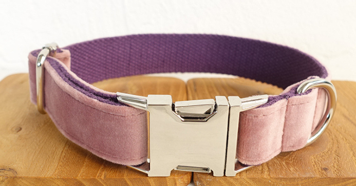 Halsband für Hund – 1–2 Grössen kleiner als EU/US | LuxeStyle