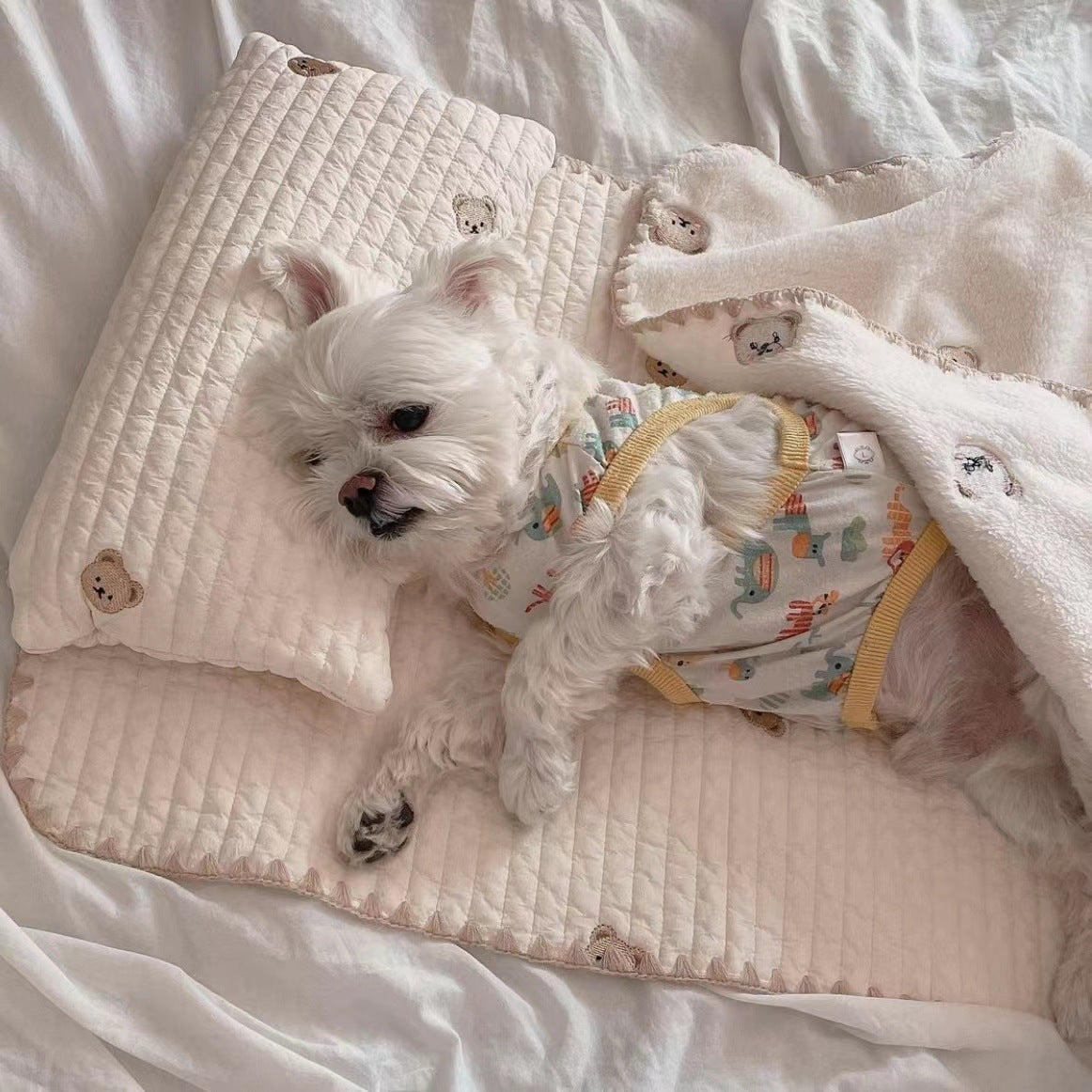 Hundebett-Set "Simple Bear"