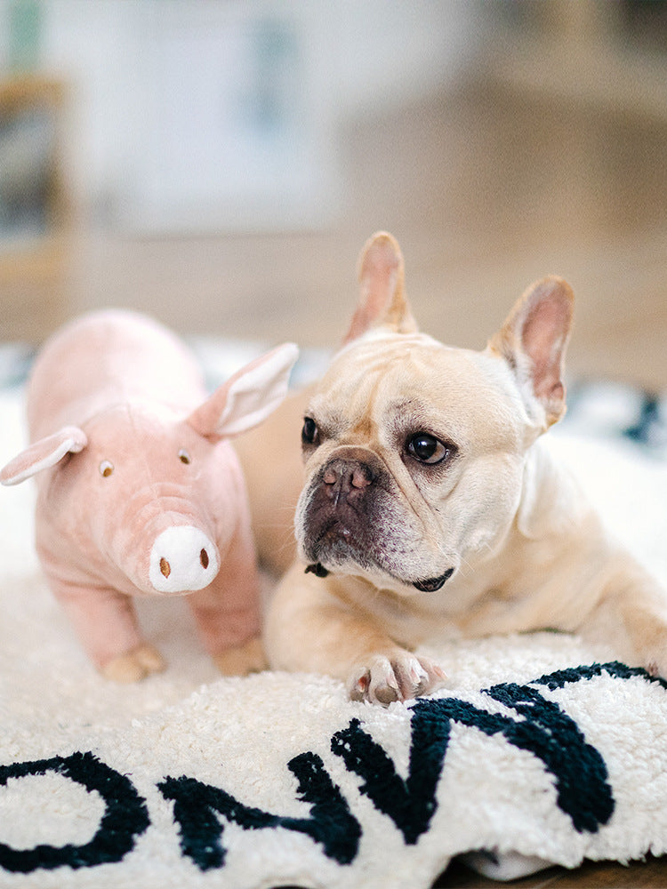 Plüsch-Schwein für ruhige Hunde-Nächte – Bild 7 | LuxeStyle