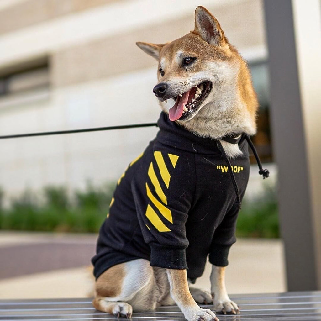 Hundepullover im Sport-Design