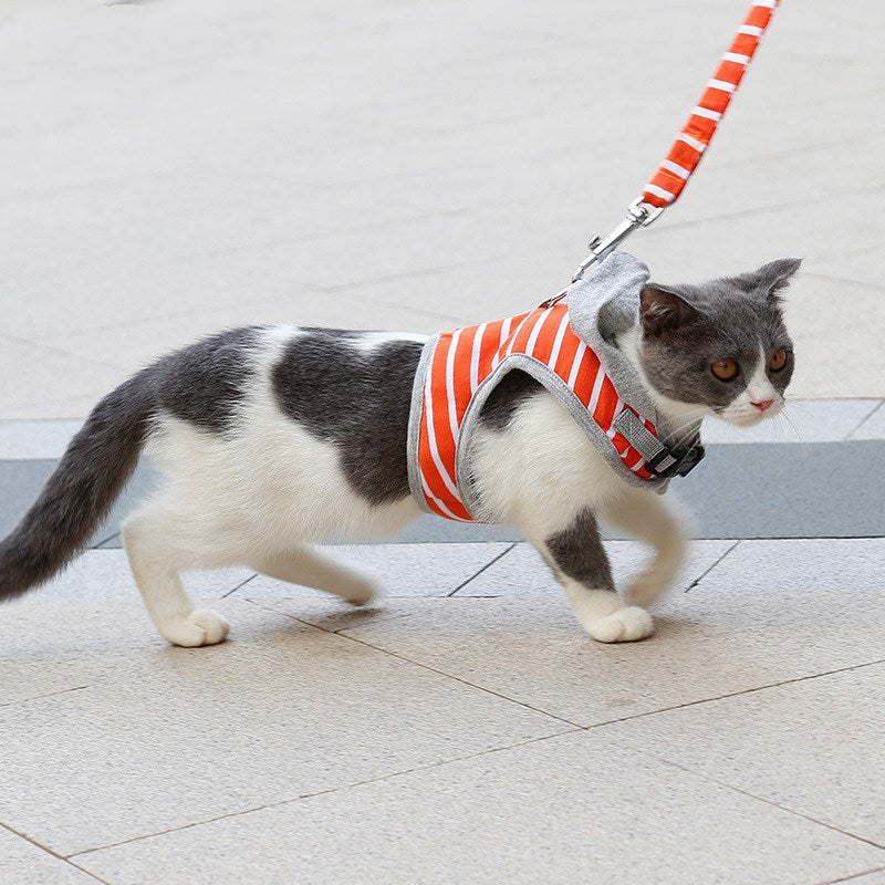 Katzenhalsband mit Kapuzenvest – 2 Grössen – Bild 2 | LuxeStyle