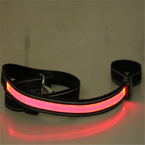 Leuchtendes Hundehalsband mit Solar- und USB-Ladefunktion – Bild 7 | LuxeStyle